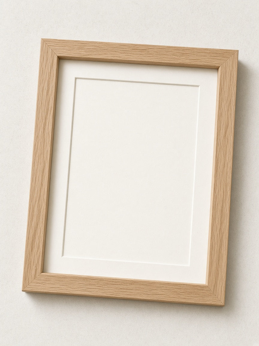 Frame guide