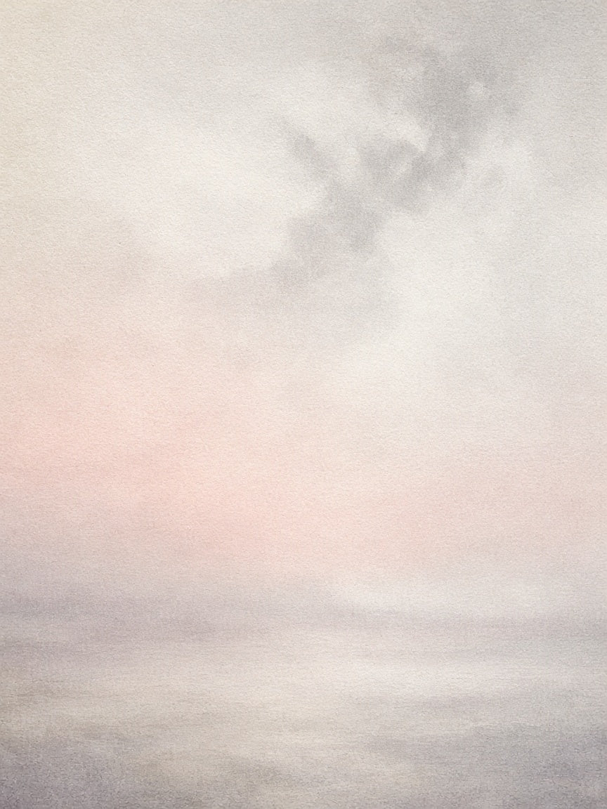 Soft Horizon Study